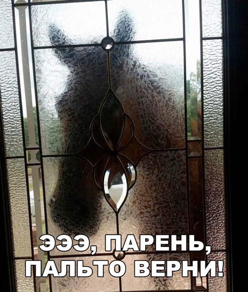 ��� ������ ��� - 9 ������� 2017 � 16:44