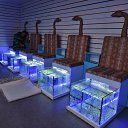  , , 60  -  13  2017    ,, 2017