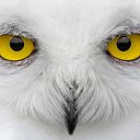 ���� �������, ������������, 45 ��� - ��������� 13 ���� 2017 � ������ ���� ����������