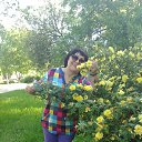 ���� �������, ������������ - ��������� 29 ��� 2017 � ������ ��������� �� �������