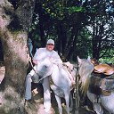 ���� ��������, ������, 53 ���� - ��������� 28 �������� 2017 � ������ ���� ����������