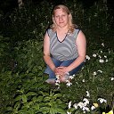  ,  , 46  -  13  2017    