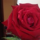 ���� Elena, ���������, 52 ���� - ��������� 23 �������� 2017 � ������ ���� ����������