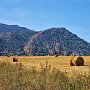 ���� **�lena**, ������ - ��������� 1 ������� 2017 � ������ ���� ����� �����л