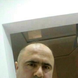 �����, ���, 44 ����