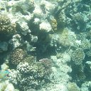 ���� ��������, �����, 57 ��� - ��������� 19 ������� 2017 � ������ ������� 2017�