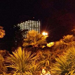 �����, ���������, 49 ���