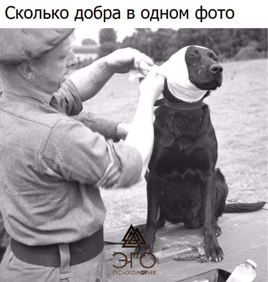  | ,  - 13  2017  13:34