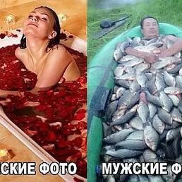  , -, 37  -  12  2017