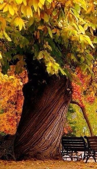  ! - 2  2017  17:12 - 6