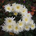 ���� �������, ������ - ��������� 14 ������� 2017 � ������ �������