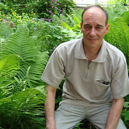 ���� �����, �����, 63 ���� - ��������� 25 ������ 2017