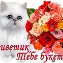 ���� ������, �������� - ��������� 29 ������ 2017 � ������ ������� ����������
