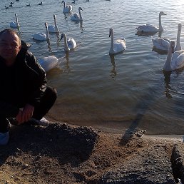 �����, �����������