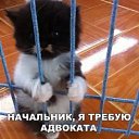 ���� ��������, ��������� - ��������� 21 ��� 2017 � ������ ����