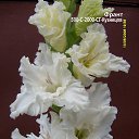 ���� �����, ������ - ��������� 13 ���� 2018 � ������ ���� ���������