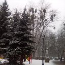 ���� ������, ����������� - ��������� 30 ����� 2018 � ������ ������ ��������