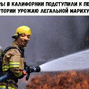 ���� �������, ������, 54 ���� - ��������� 10 ������� 2017 � ������ ���� ����������