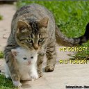 ���� �������, ��������, 40 ��� - ��������� 7 ������ 2018 � ������ �����������