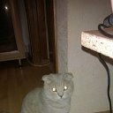 ���� ������, ������������, 51 ��� - ��������� 22 ������ 2018