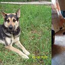 ��� �����-�� ������, � ������ ����� �� ������� ���� ������ ))�