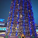 ���� ���������, ����������, 48 ��� - ��������� 24 ������� 2018 � ������ ���� ����������