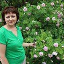 ���� �����, ������ �������� - ��������� 2 ��� 2018 � ������ �������