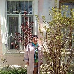 ������ ����������, ��������, 58 ���