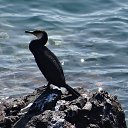 ���� ���������, ������������, 45 ��� - ��������� 2 ������ 2018 � ������ ���� ����������