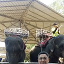 ���� ������, ����, 60 ��� - ��������� 7 ����� 2018 � ������ ���� ����������