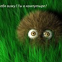 ���� ������, ��������, 49 ��� - ��������� 29 ���� 2018 � ������ ���� ����������