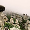  , -, 64  -  29  2018    