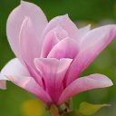 ���� �����, ������ - ��������� 4 ������� 2017 � ������ ���� ����������