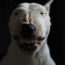 ���� ���, �����������, 38 ��� - ��������� 27 ����� 2018 � ������ ���� ����������