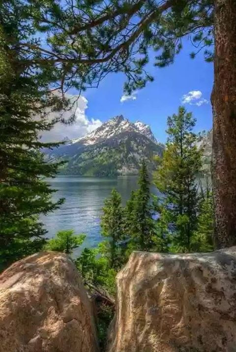  ?   ,      ,    - , ...