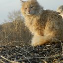 ���� ������, ������-��-����, 46 ��� - ��������� 9 ������ 2018 � ������ ������ ��������