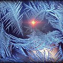 ���� �������� ��������, ������, 56 ��� - ��������� 16 ������� 2017 � ������ ������ ��������