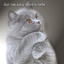 ���� ������, ������� - ��������� 11 ������� 2017 � ������ ���� ����������