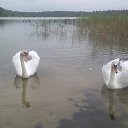 ���� �������, ����, 45 ��� - ��������� 1 ���� 2018 � ������ ���� ����������