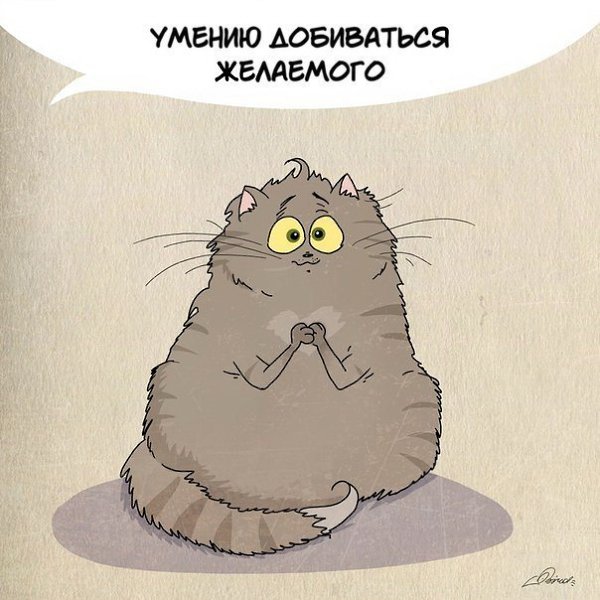 1 марта отмечается День кошек. Нам есть чему поучиться у шерстяных засранцев: - 4