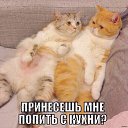 ���� ����, ������ - ��������� 27 ��� 2018 � ������ ���� ����������