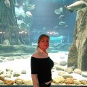 ���� �����, ������, 43 ���� - ��������� 26 ������� 2018 � ������ ���� ����������