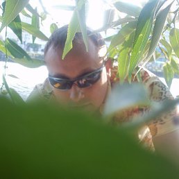 ������, �����, 42 ����