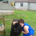 ���� �������, �����, 47 ��� - ��������� 8 ������ 2018 � ������ ���� ����������