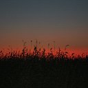 ���� ������, �����-���������, 41 ��� - ��������� 12 ������� 2018 � ������ ���� ����������