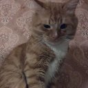 ���� ������, ������, 42 ���� - ��������� 15 ����� 2018 � ������ ������ ��������