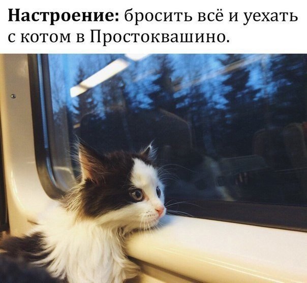   - 11  2018  02:57
