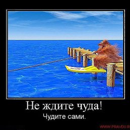 �������, �����������