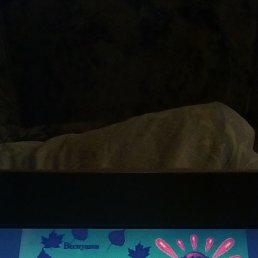 ������, ������, 49 ���