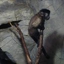 ���� ������, ������ - ��������� 26 ��� 2018 � ������ ���������� �������